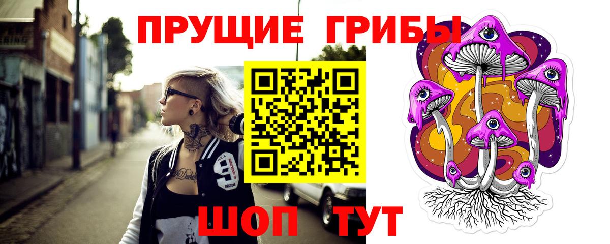Псилоцибиновые грибы Psilocybe Мариинск